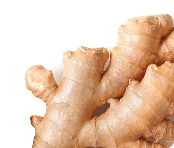 Ginger Root