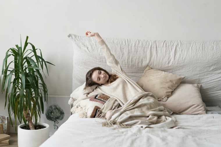The next morning